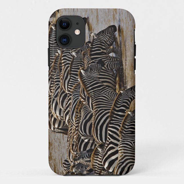 Capa Para iPhone 11 Manada de Zebras de Burchell bebendo do Mara (Verso)
