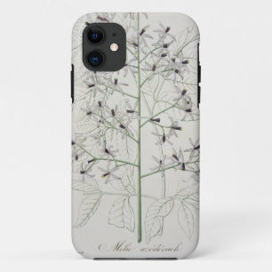 Capa Para iPhone 11 Melia Azedarach de "Phytographie Medicale" por Jo