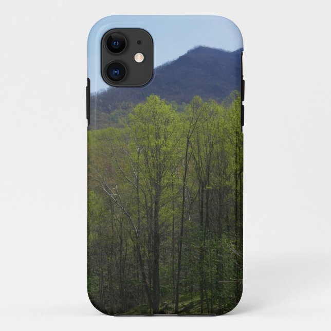 Capa Para iPhone 11 Montagens do enfumaçado na paisagem Primavera (Verso)
