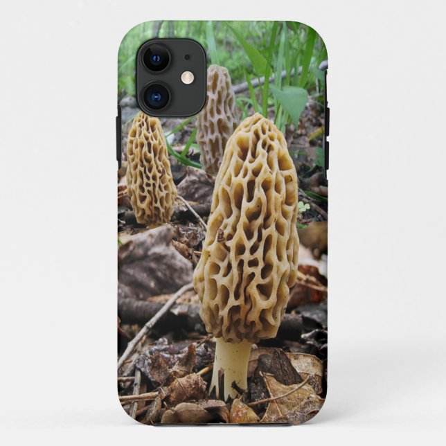 Capa Para iPhone 11 Morels (Verso)