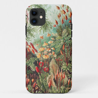 Capa Para iPhone 11 Mosses, Muscinae Laubmoose por Ernst Haeckel