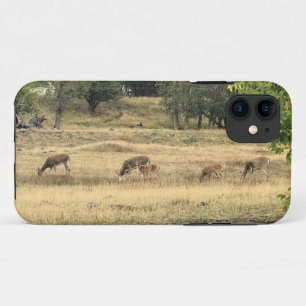 Capa Para iPhone 11 Mule Deer em um Campo