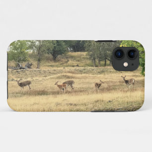 Capa Para iPhone 11 Mule Deer em um campo, Joseph, Oregon