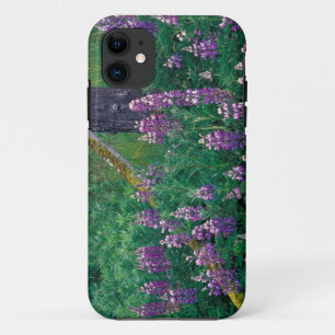 Capa Para iPhone 11 NA, EUA, Alasca, Ilhas Aleutas, Unalaska,