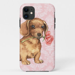 Capa Para iPhone 11 Namorados Rosa Dachshund