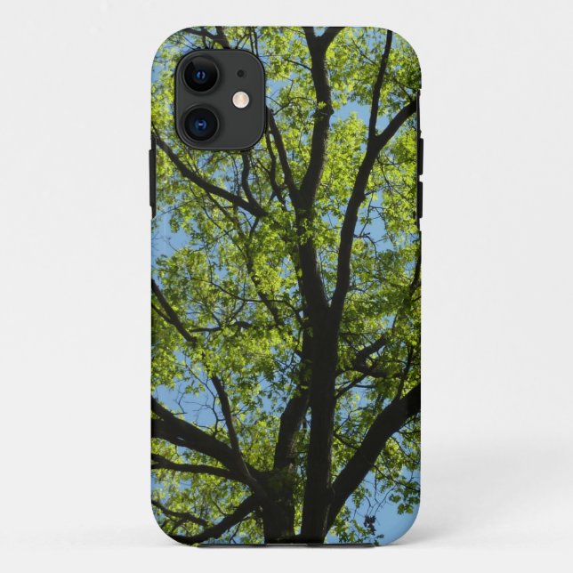 Capa Para iPhone 11 Natureza vibrante da árvore de carvalho-primavera (Verso)