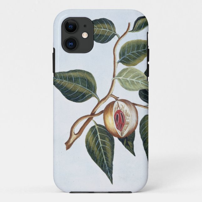 Capa Para iPhone 11 Nutmeg, placa 7, de "Collection Precieuse et Enl (Verso)