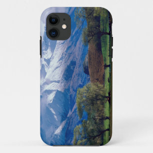 Capa Para iPhone 11 O pasto de ovelha debaixo do couro cabeludo