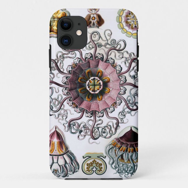 Capa Para iPhone 11 O Peromedusae de Ernst Haeckel (Verso)