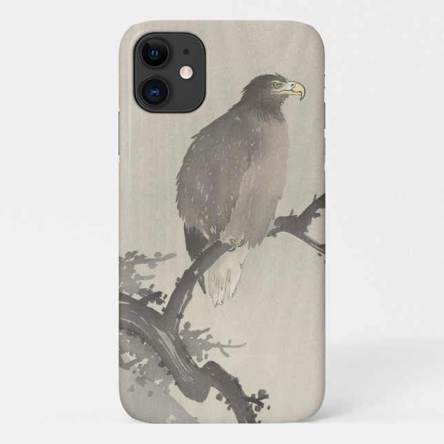 Capa Para iPhone 11 Ohara Klish Sea Eagle em Branch (Verso)