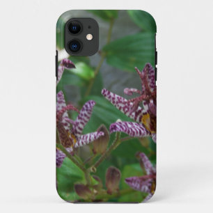 Capa Para iPhone 11 Orquídea branca-rosa-púrpura, listrada, como uma f