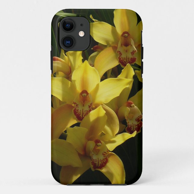 Capa Para iPhone 11 Orquídeas Amarelas Sunlitivas Floral (Verso)