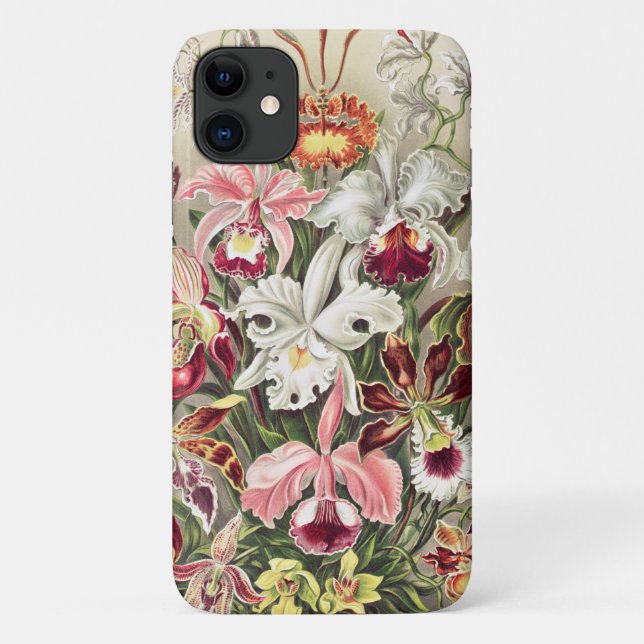Capa Para iPhone 11 Orquídeas, Orquídeas Denusblumen de Ernst Haeckel (Verso)