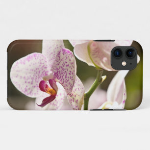 Capa Para iPhone 11 Orquídeas por Shirley Taylor