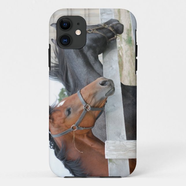 Capa Para iPhone 11 Os Cavalos do Amor (Verso)