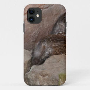 Capa Para iPhone 11 ouriços crestados indianos