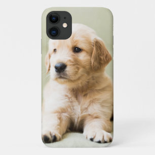 Capa Para iPhone 11 Ouro Retirado no Sofá