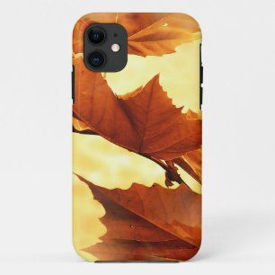Capa Para iPhone 11 Outono