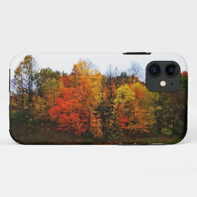 Capa Para iPhone 11 Outono em West Bend, Wisconsin (Verso (horizontal))