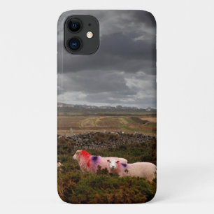 Capa Para iPhone 11 Ovelhas coloridas