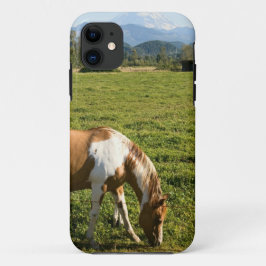 Capa Para iPhone 11 Paint HCourse em Montanhas