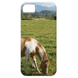 Capa Para iPhone 11 Paint HCourse em Montanhas