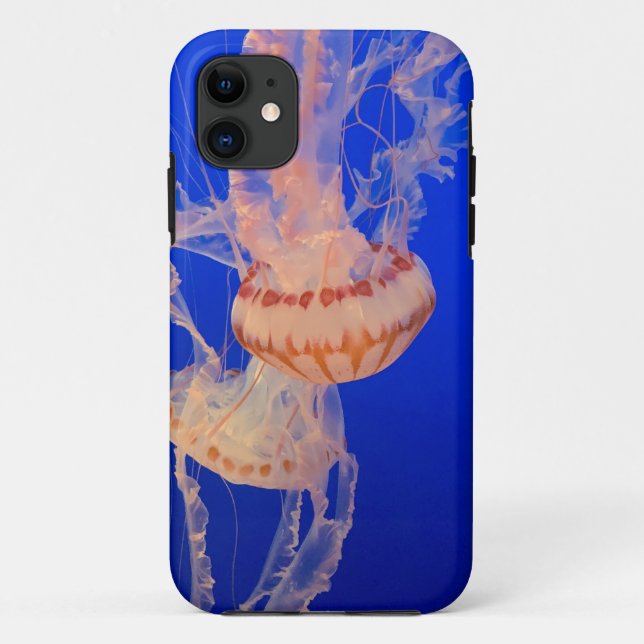 Capa Para iPhone 11 Paisagem Bela (Verso)