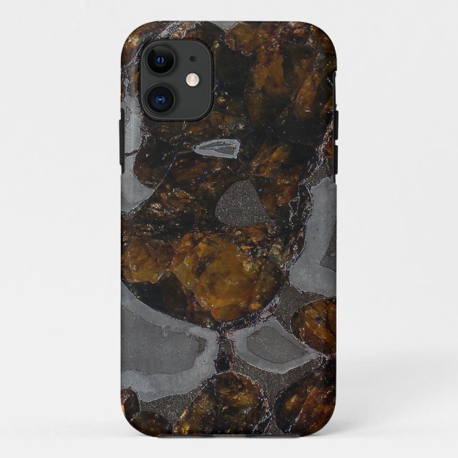 Capa Para iPhone 11 Pallasite (Verso)