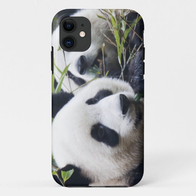 Capa Para iPhone 11 Panda Bear Hugs (Verso)