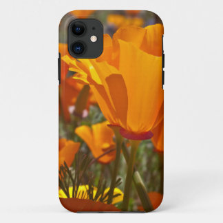 Capa Para iPhone 11 Papoilas de Califórnia alaranjadas brilhantes