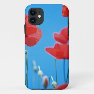 Capa Para iPhone 11 Papoilas de Provença