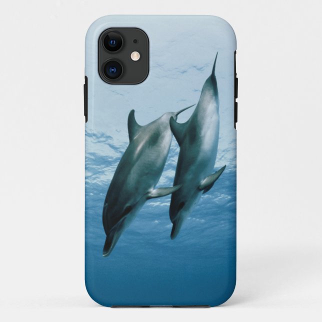Capa Para iPhone 11 Par de Golfinhos (Verso)