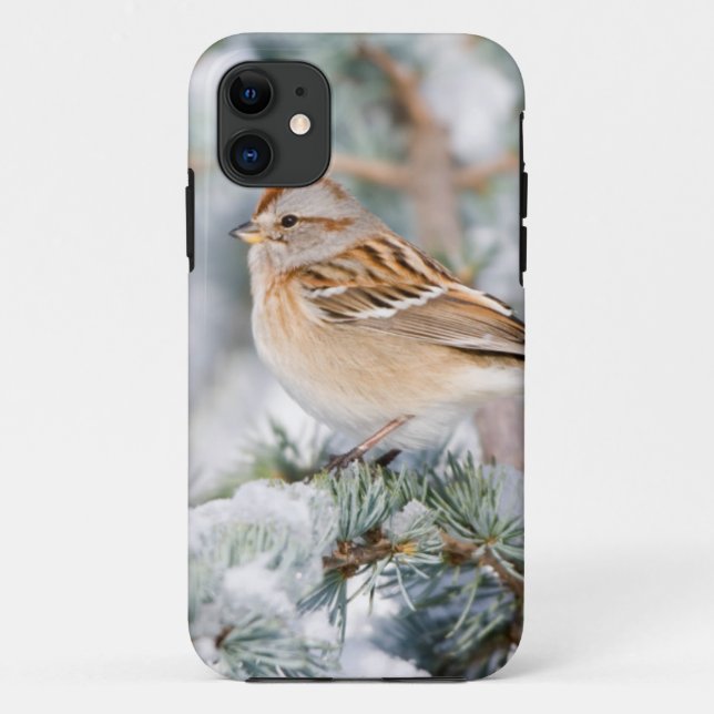 Capa Para iPhone 11 Pardal-americano no inverno (Verso)