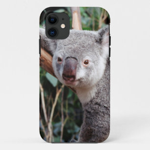 Capa Para iPhone 11 Parque de Vida Selvagem Featherdale, Ursos Koalás