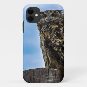 Capa Para iPhone 11 Pássaro Coruja Penas Animal Nature Destino Paz Amo