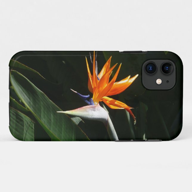 Capa Para iPhone 11 Pássaro da Flor Tropical Laranja do Paraíso (Verso (horizontal))