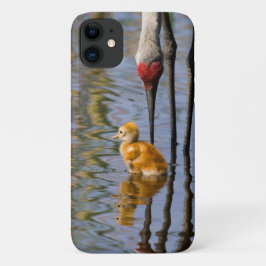 Capa Para iPhone 11 Pássaro doidinho giro da Sandhill