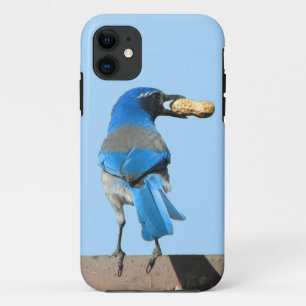 Capa Para iPhone 11 Pássaro e amendoim azul escrupulado