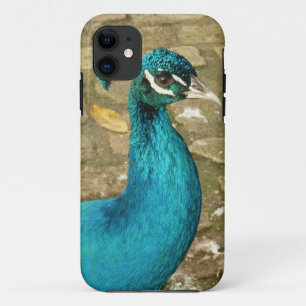 Capa Para iPhone 11 Pavão Belo Pássaro Azul Fotografia