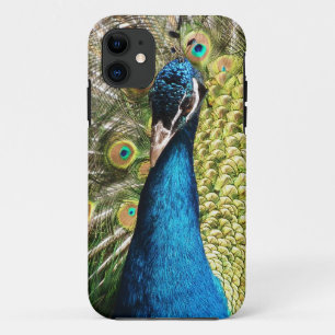 Capa Para iPhone 11 Pavão bonito