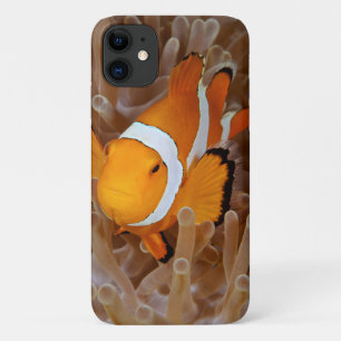 Capa Para iPhone 11 Peixe-palhaço - Molokai, North Shore Cliff