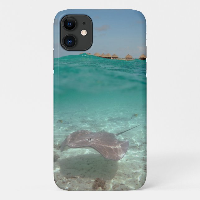 Capa Para iPhone 11 Peixe-raia debaixo d'água em Bora Bora (Verso)
