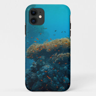 Capa Para iPhone 11 Peixes E Recifes bonito