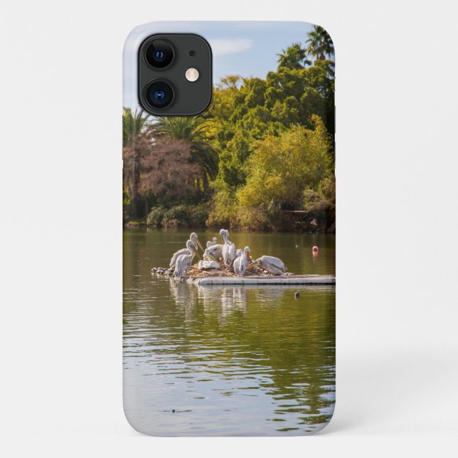 Capa Para iPhone 11 Pelicanos no lago no zoológico de Phoenix (Verso)