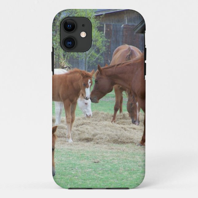 Capa Para iPhone 11 Pelo Amor dos Cavalos (Verso)