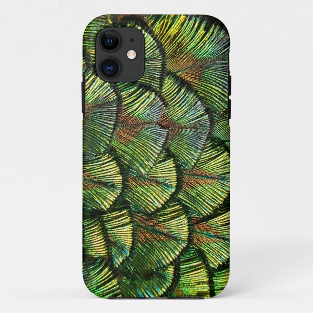 Capa Para iPhone 11 Penas Scalloped bonitas do pavão (Verso)