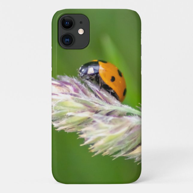 Capa Para iPhone 11 Pequena joaninha para o seu smartphone! (Verso)