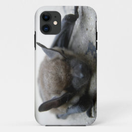 Capa Para iPhone 11 Pequeno morcego (Myotis lucifugus)