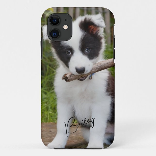 Capa Para iPhone 11 Pet Photo (Verso)