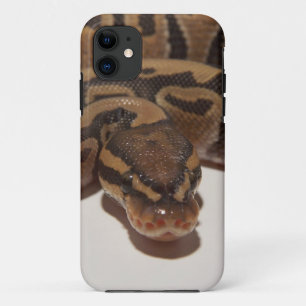 Capa Para iPhone 11 Pitão da bola do fantasma